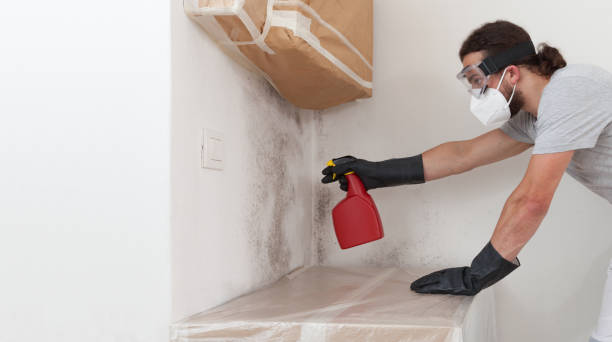 Professional Bathroom Mold Removal technician working in Oakland, TN